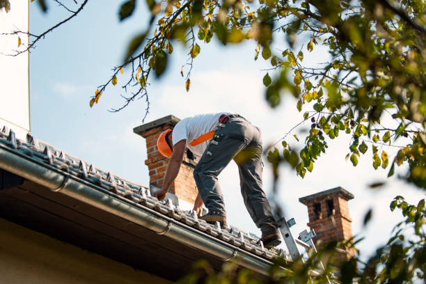 Roof Waterproofing Services in East Douglas, MA