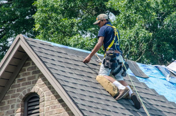 Best Roof Gutter Cleaning  in East Douglas, MA